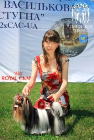 Dog Photo