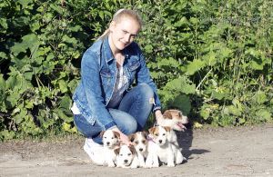 Dog Photo