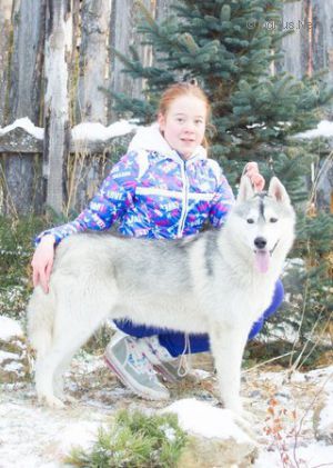 Dog Photo