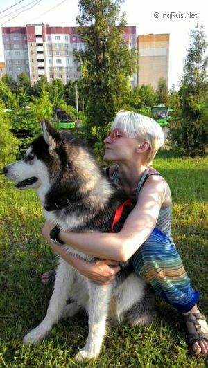 Dog Photo