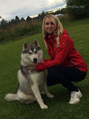 Dog Photo