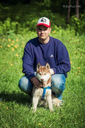 Dog Photo