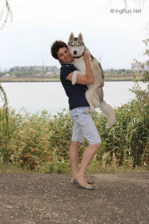 Dog Photo