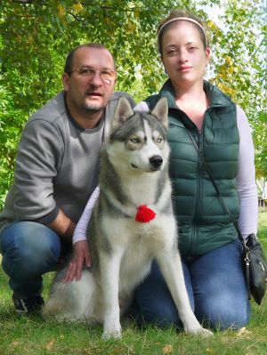 Dog Photo