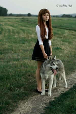 Dog Photo