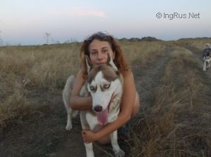 Dog Photo