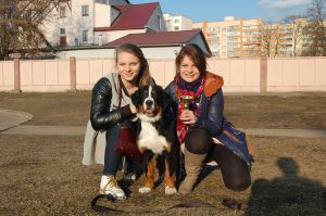 Dog Photo