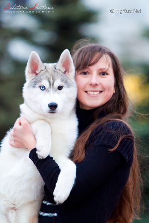 Dog Photo