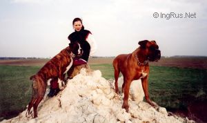 Dog Photo