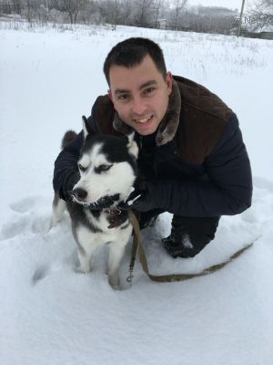 Dog Photo