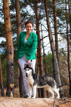 Dog Photo