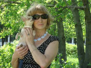 Dog Photo