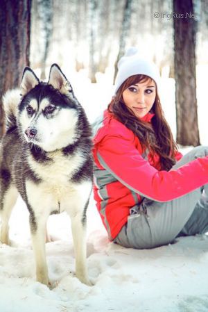 Dog Photo