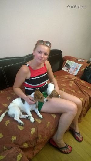 Dog Photo