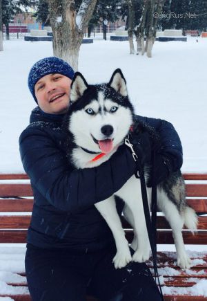 Dog Photo