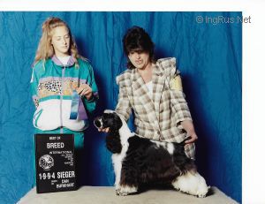 Dog Photo