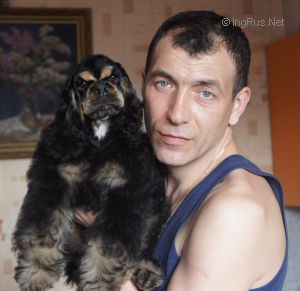 Dog Photo