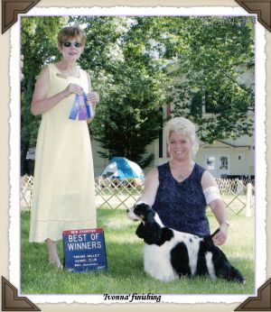 Dog Photo