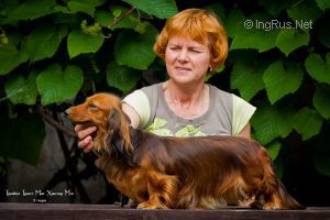 Dog Photo
