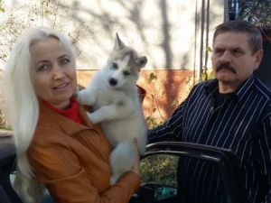 Dog Photo