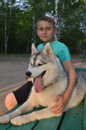 Dog Photo