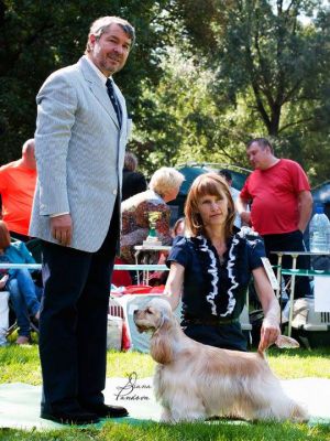 Dog Photo