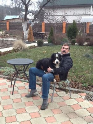 Dog Photo