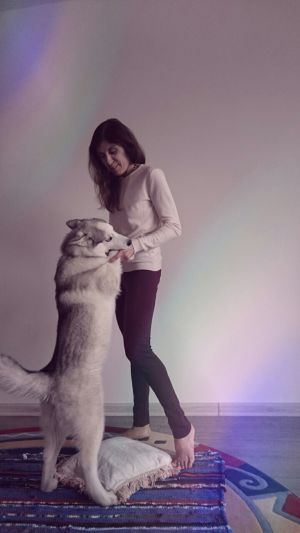 Dog Photo