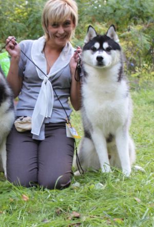 Dog Photo