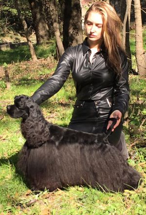 Dog Photo