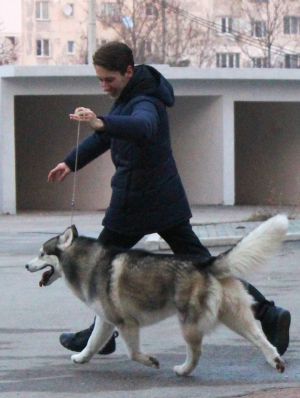 Dog Photo