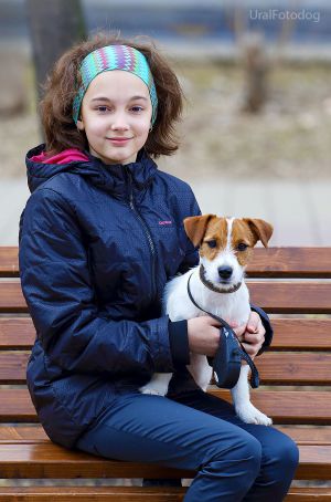 Dog Photo