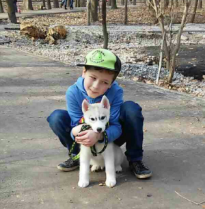 Dog Photo