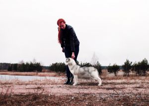 Dog Photo