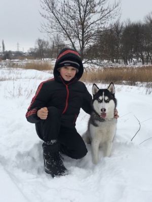 Dog Photo