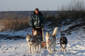 Dog Photo
