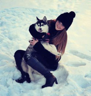 Dog Photo