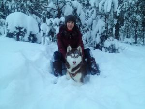 Dog Photo