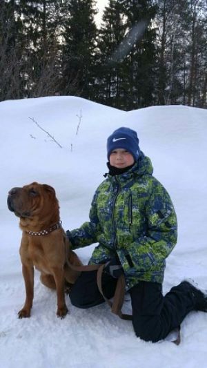 Dog Photo