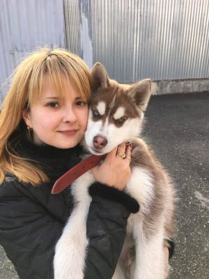Dog Photo