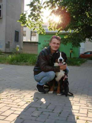 Dog Photo