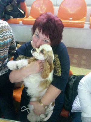 Dog Photo
