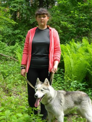 Dog Photo