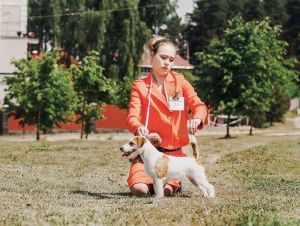 Dog Photo