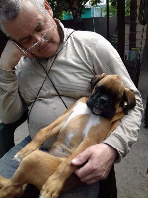 Dog Photo