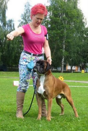 Dog Photo