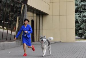 Dog Photo