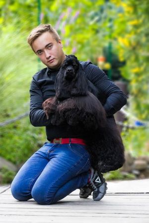 Dog Photo
