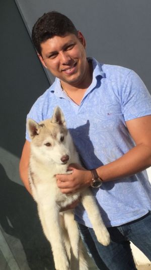 Dog Photo