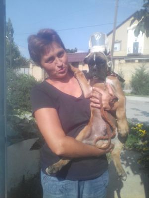 Dog Photo